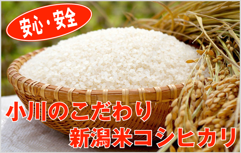 新潟県認証特別栽培米コシヒカリ